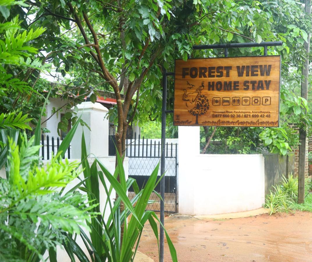 Forest View Home Stay Anuradhápura Exteriér fotografie